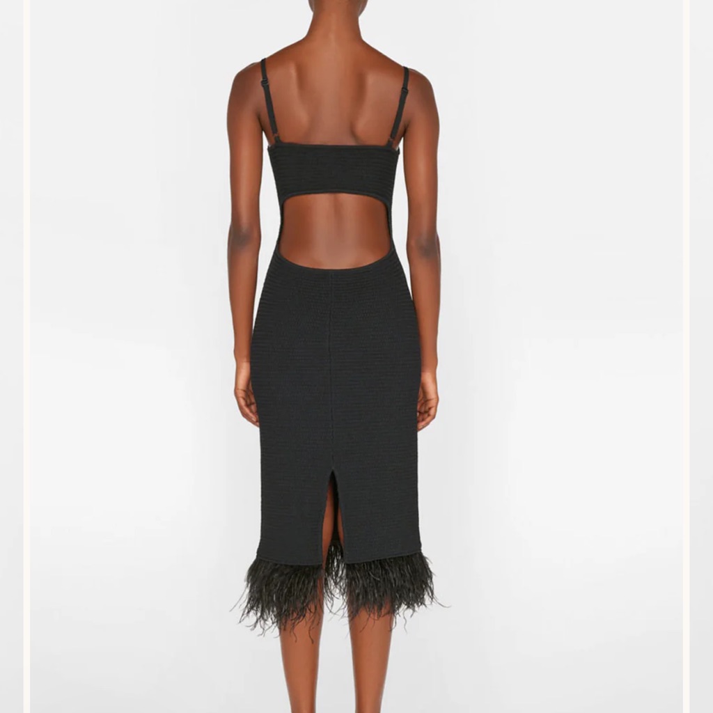 New Frame Crochet Feather Midi Dress